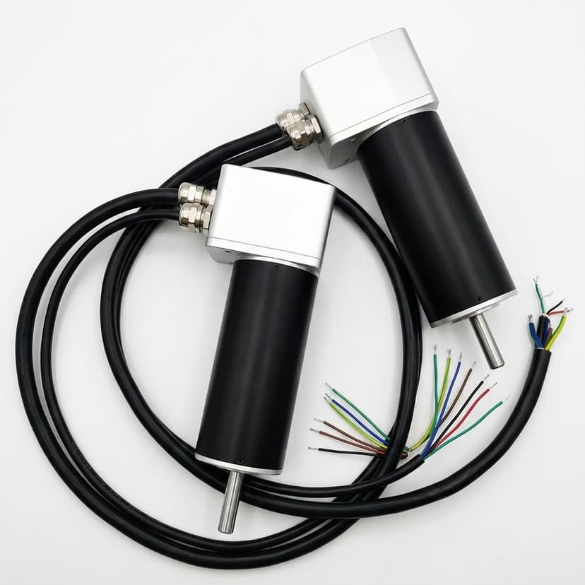 Coreless Micro BLDC Motor