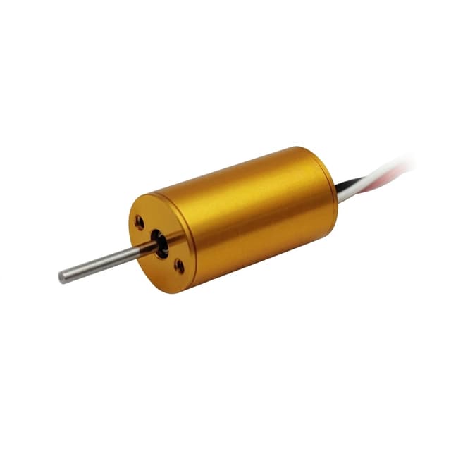 Micro Brushless DC Motor