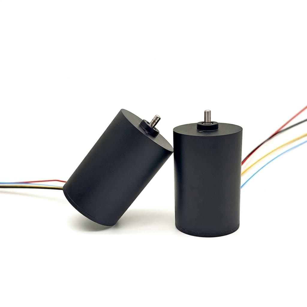 20 mm micro BLDC motor representative sample